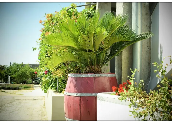 Sara Apartment Lopar